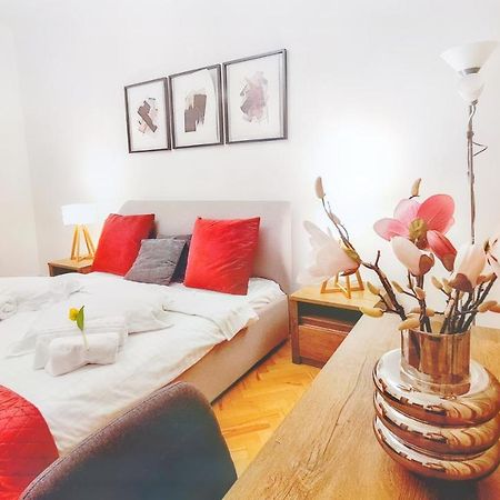 Spacious 5* Luxury In Historic Center Free Parking كلوج-نابوكا المظهر الخارجي الصورة