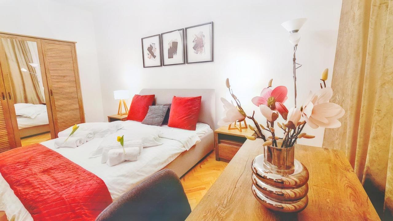 Spacious 5* Luxury In Historic Center Free Parking كلوج-نابوكا المظهر الخارجي الصورة